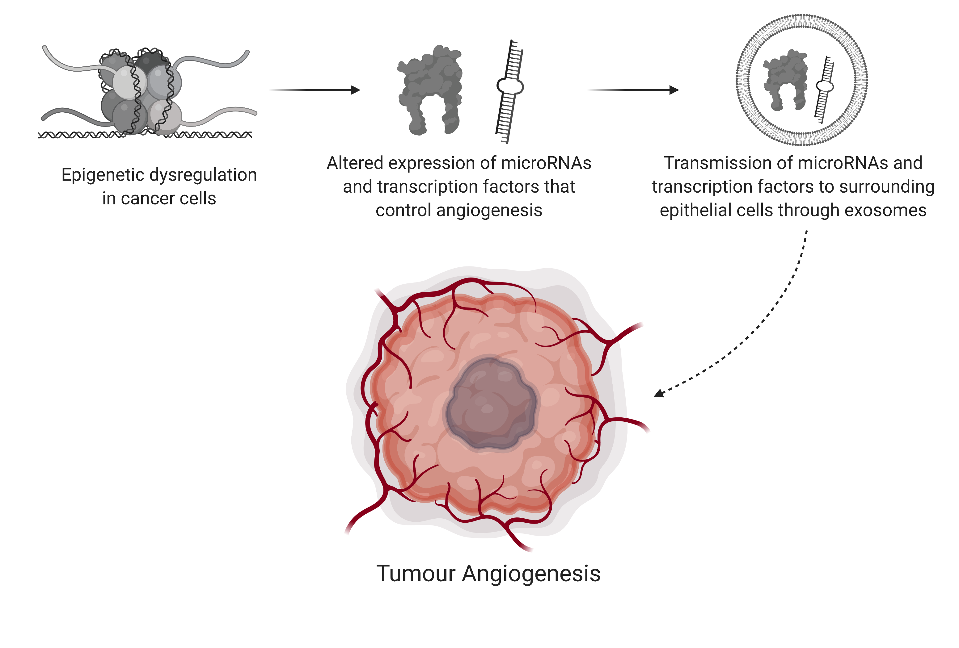 Angiogenesis