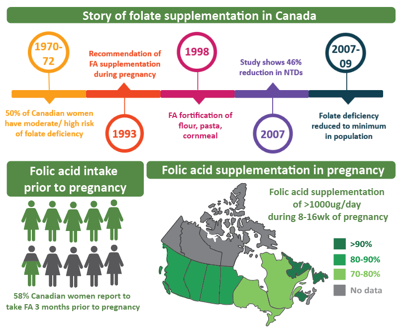 Statistics and timeline of folic acid supplementation in Canada