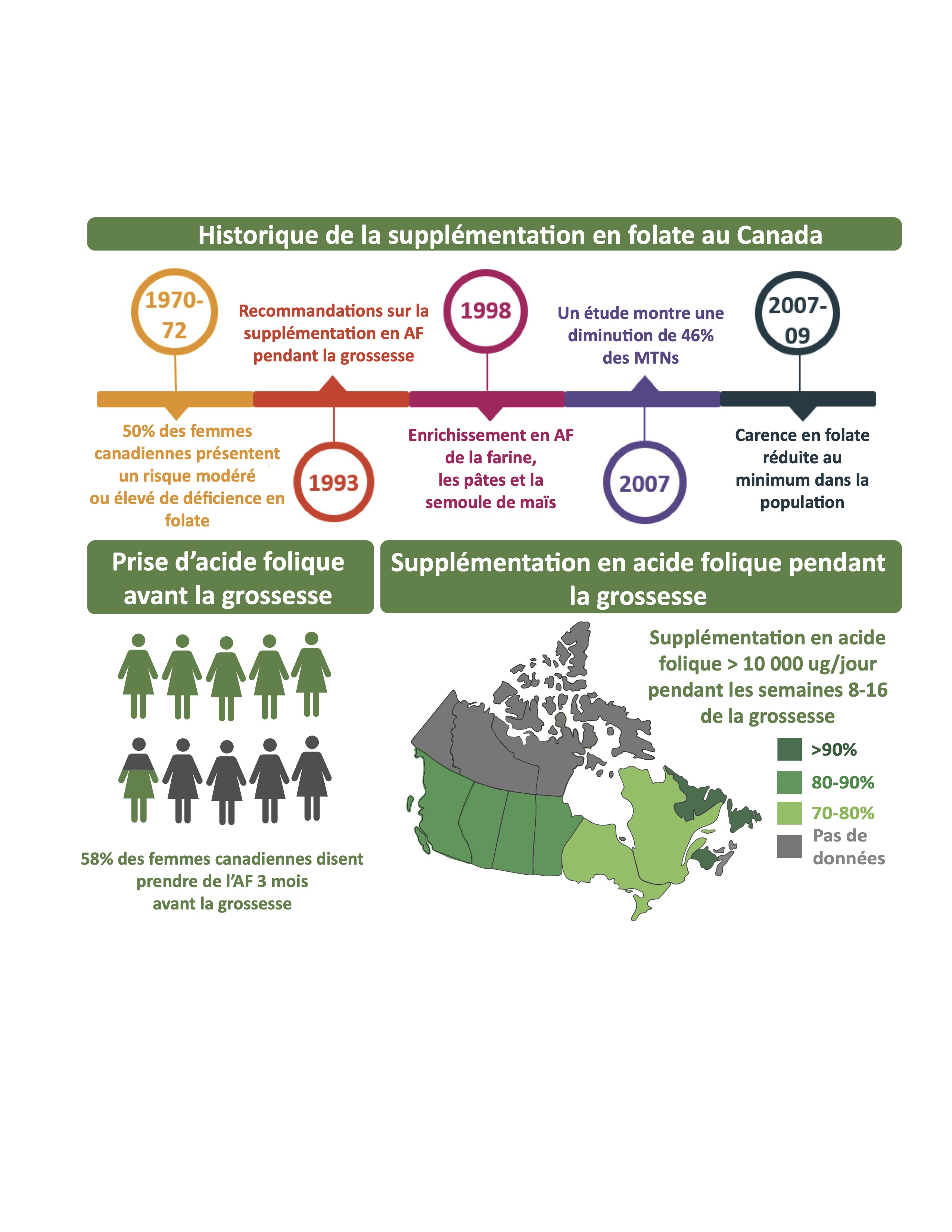 Statistiques et chronologie de la supplémentation en acide folique au Canada