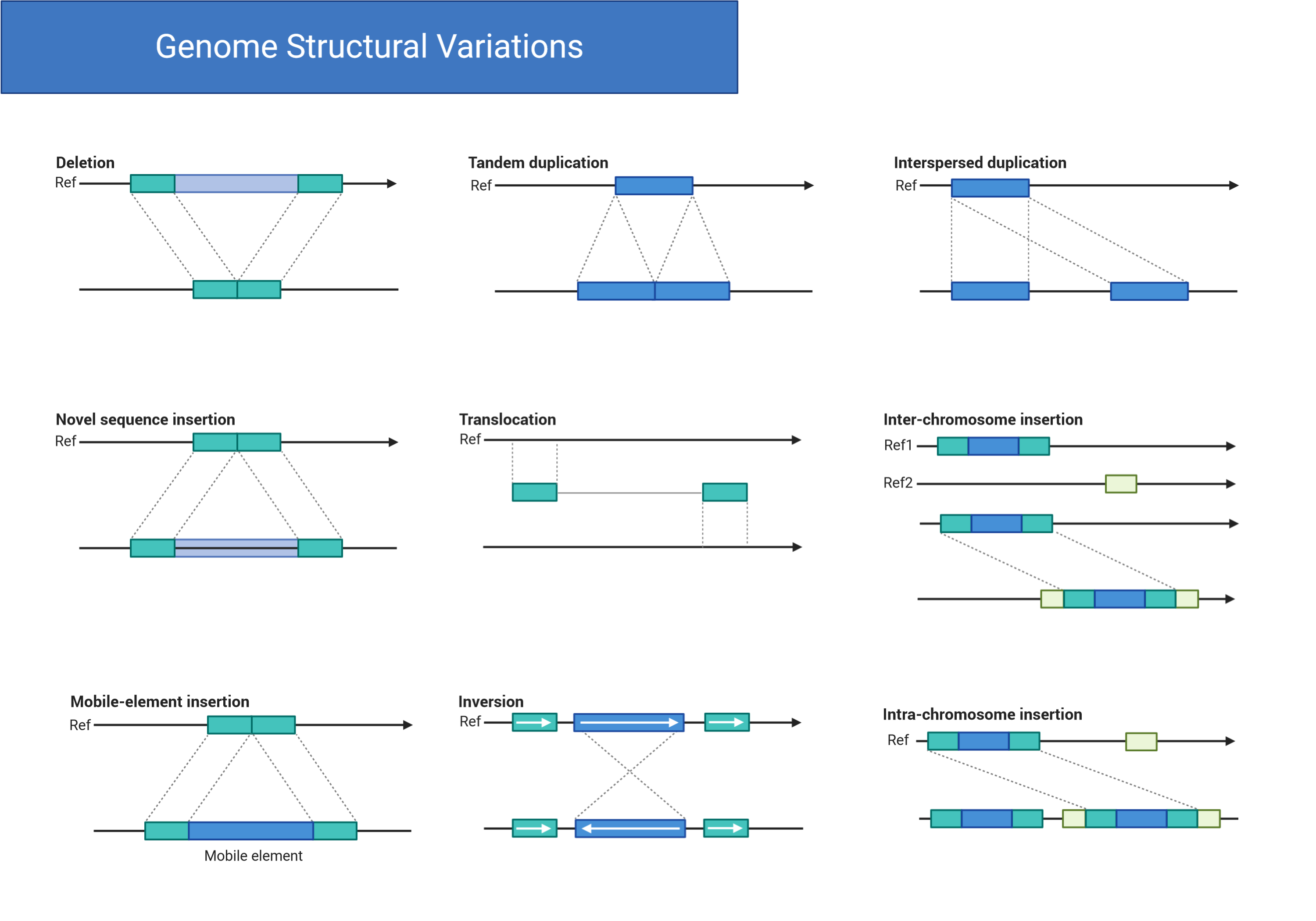 structural variants