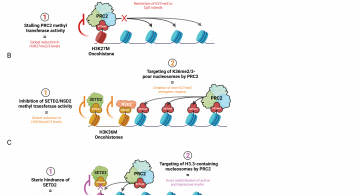 Oncohistones